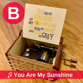 B. You Are My Sunshine (Lyrics)