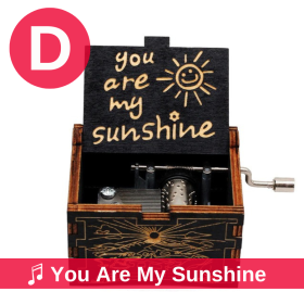 D. You Are My Sunshine (Black)